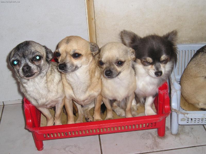 Foto: spolu je nám fajn