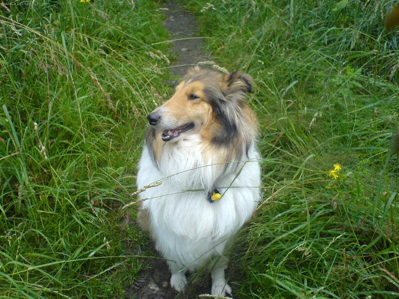 Foto: Adélka v trávě!!!-Tag to je moje Adélka!!Mám ji móóóócinky ráda!!