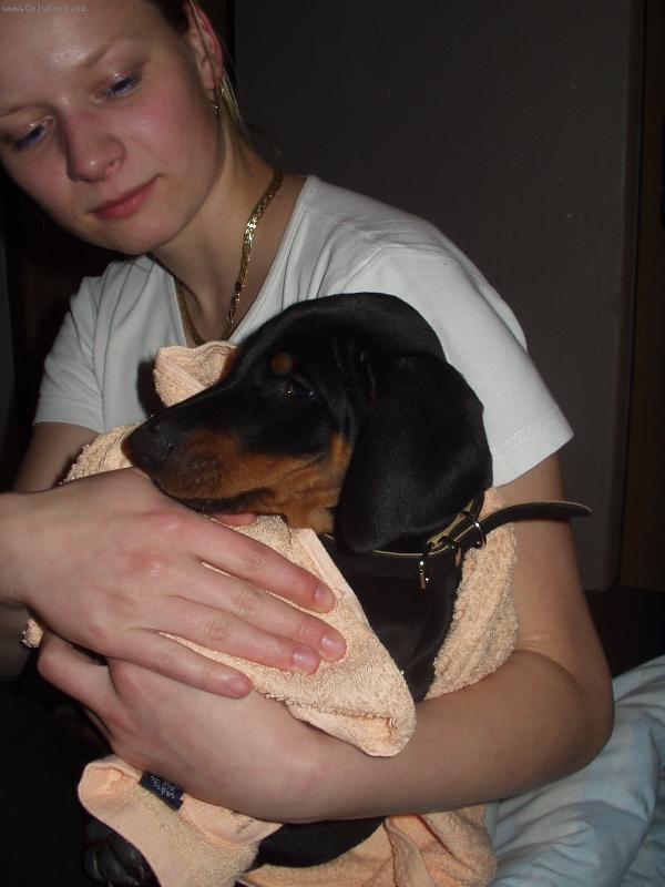 Foto: Maxíček-Náš nový přírustek :-)