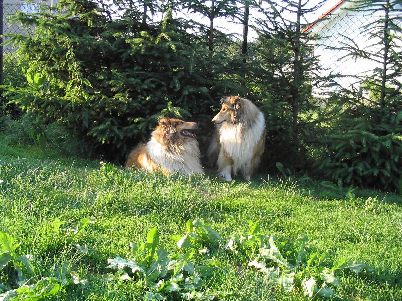 Foto: ...mám Tě ráda...-...kámošky Kirby a Terezka...