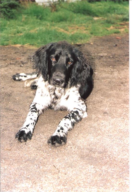 Foto: Kim od Staré vsi