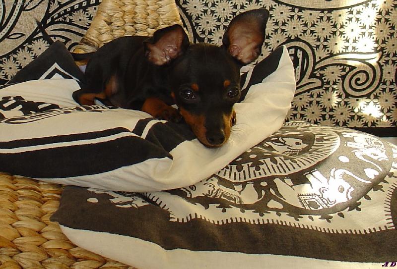 Foto: Teď budu spinkat... tak nerušit :)