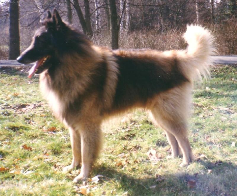 Foto: Dino Rudolfovská skála CZ-Můj milovaný Cliff