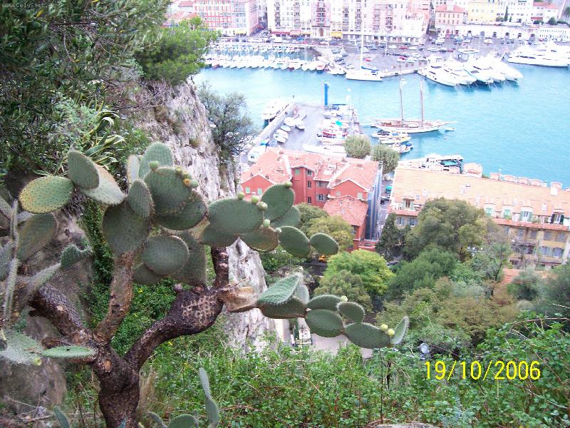 Foto: Nice-Přístav v Nice