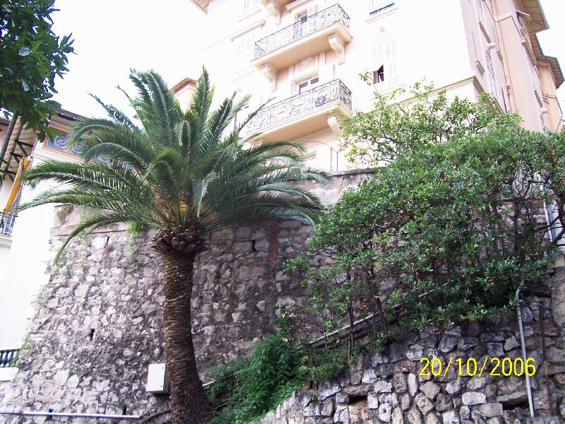 Foto: Monako-Domy, ulice a zahrady na terasách.