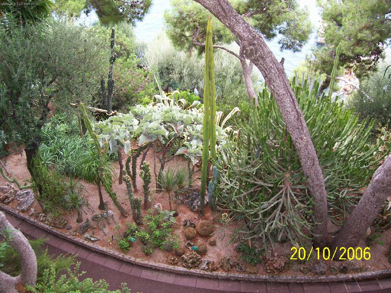 Foto: Monako-Terasové zahrady u Oceánografického muzea.