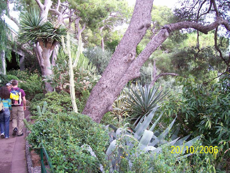 Foto: Monako-Terasové zahrady u Oceánografického muzea.