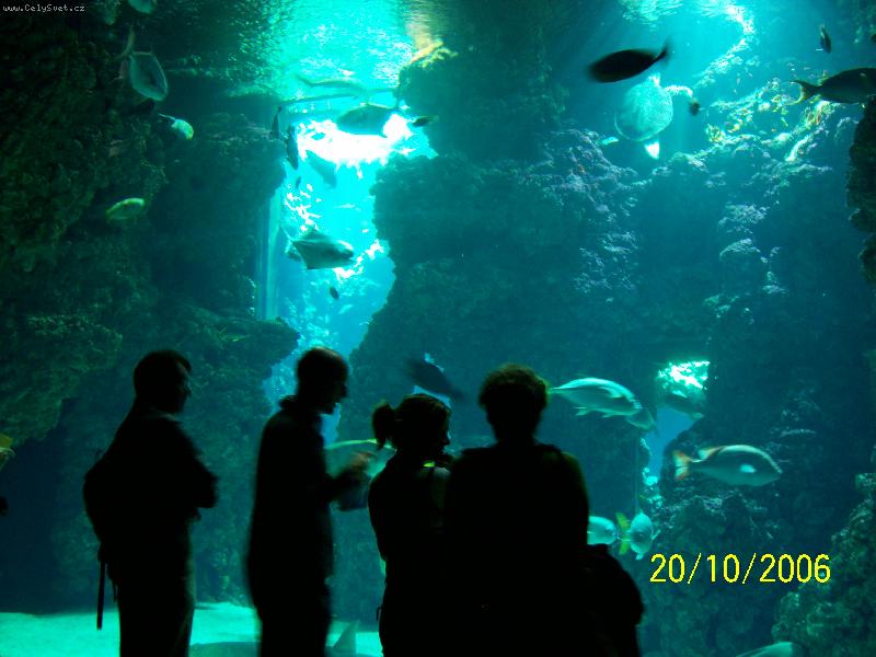Foto: Monako-Obří akvária Oceánografického muzea.