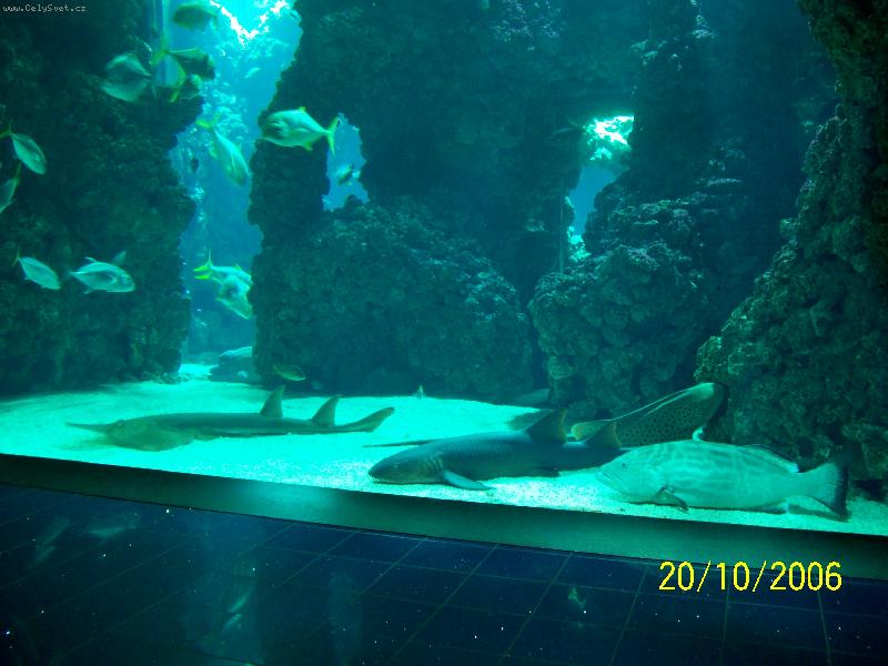 Foto: Monako-Obří akvária Oceánografického muzea.