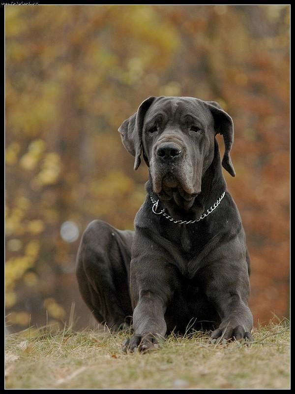 Foto: Naše Hydra....