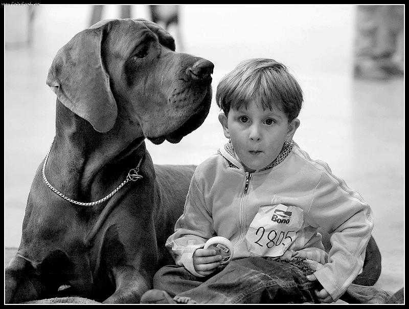 Foto: Kamarádi.....