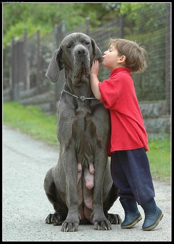 Foto: Kamarádky.....