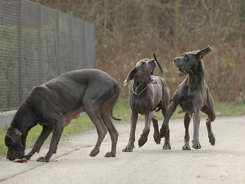 Foto: Venčení.....