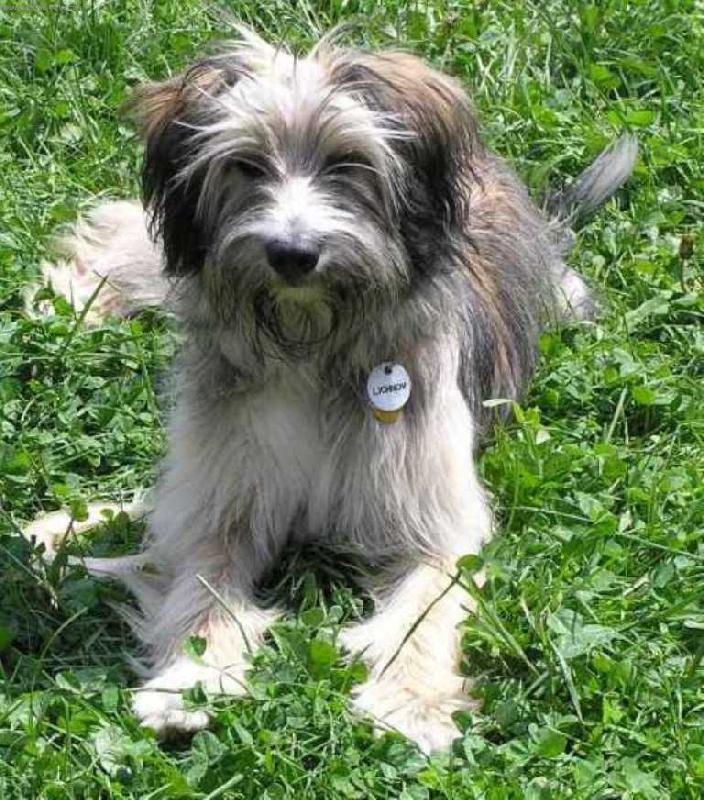 Foto: Masha v létě