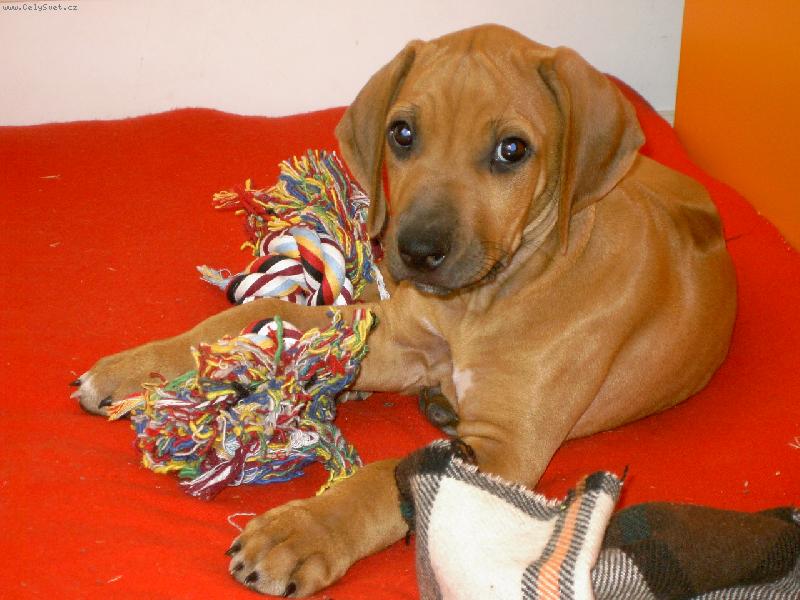 Foto: Enny-První den doma