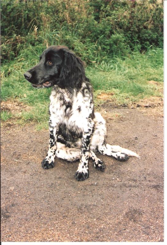 Foto: Kim od Staré vsi