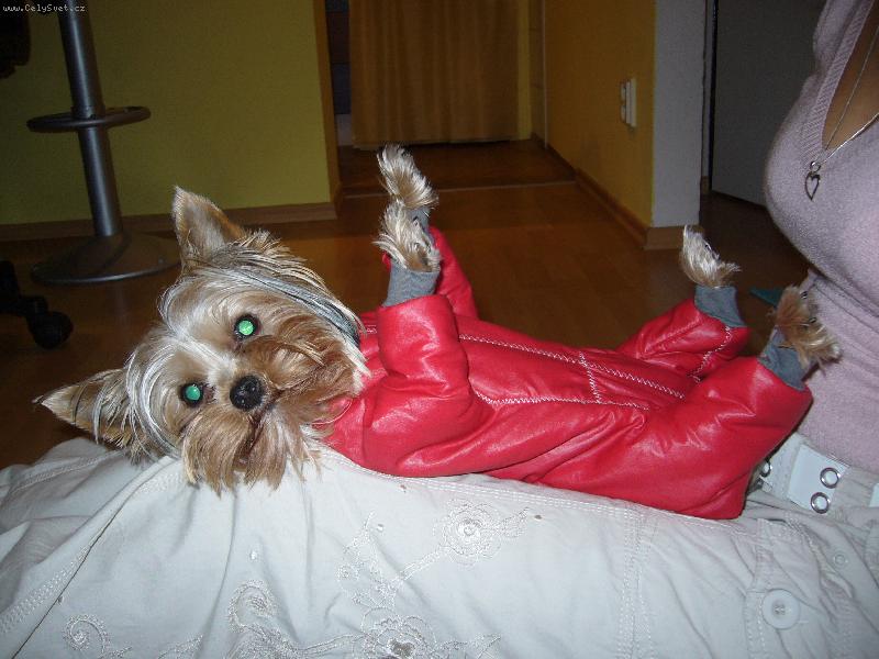 Foto: MIA z Děčína-...to radši zmrznu...