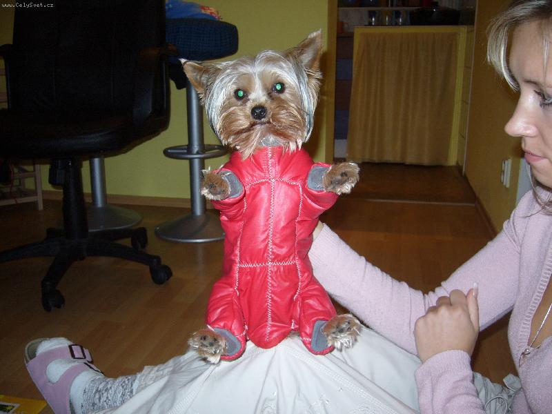 Foto: MIA z Děčína-...to radši zmrznu...