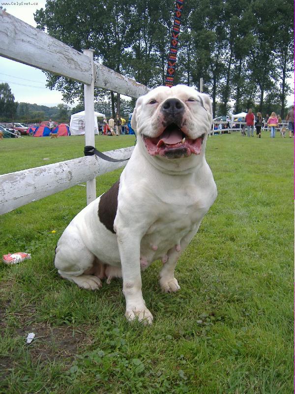 Foto: ARISSA TENESCO NERAKA-Arissa ve věku 11 let