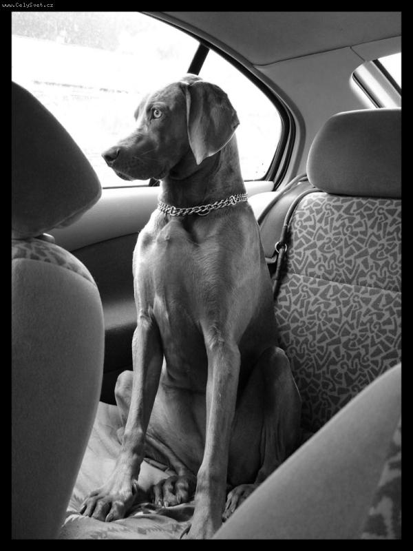 Foto: Ambra od Vokačovského rybníka