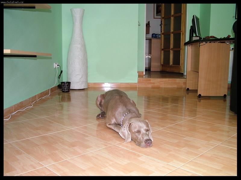 Foto: Ambra od Vokačovského rybníka