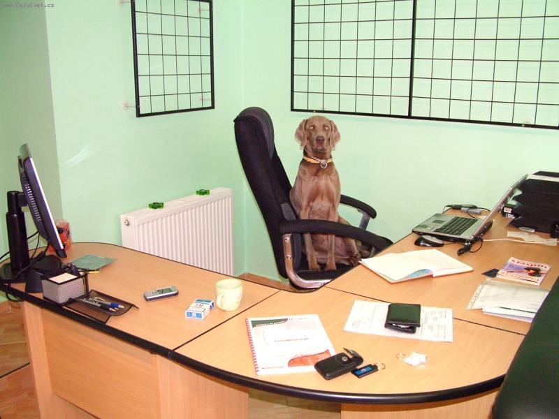 Foto: Ambra od Vokačovského rybníka