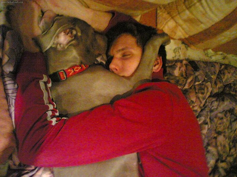 Foto: Ambra od Vokačovského rybníka