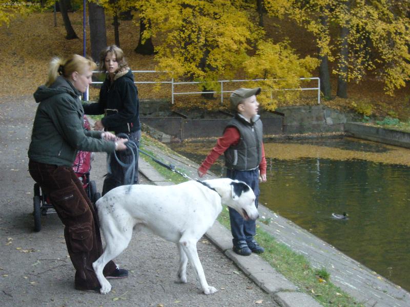 Foto: Nepastí mě na ty kachny