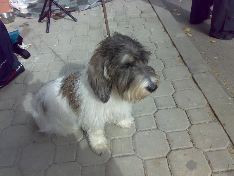 Foto: a hurá do kruhu