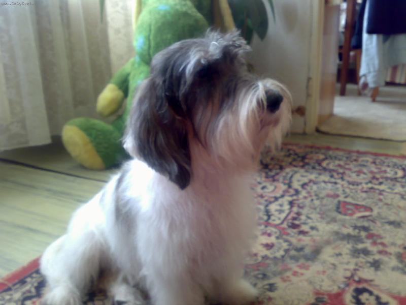 Foto: pojď si hrát