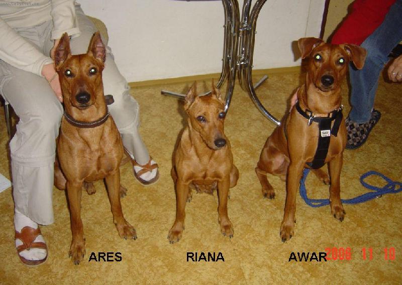 Foto: MAMINKA A JEJÍ SYNOVÉ NA NÁVŠTĚVĚ