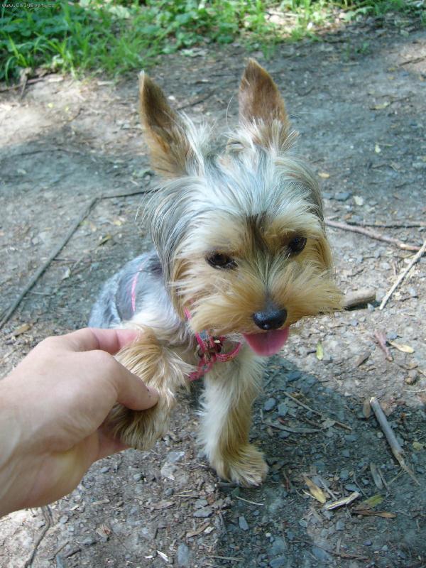 Foto: MIA z Děčína