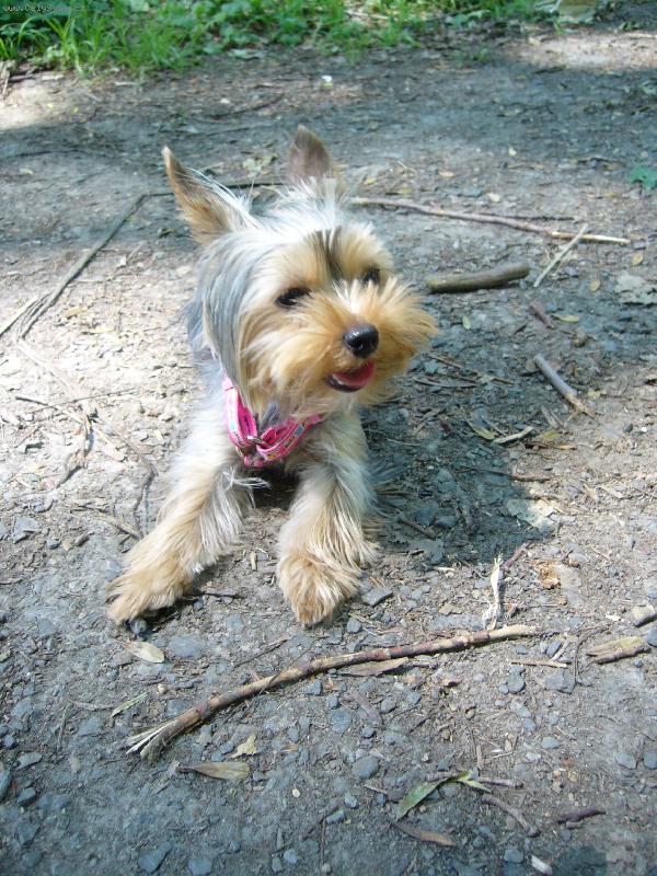 Foto: MIA z Děčína