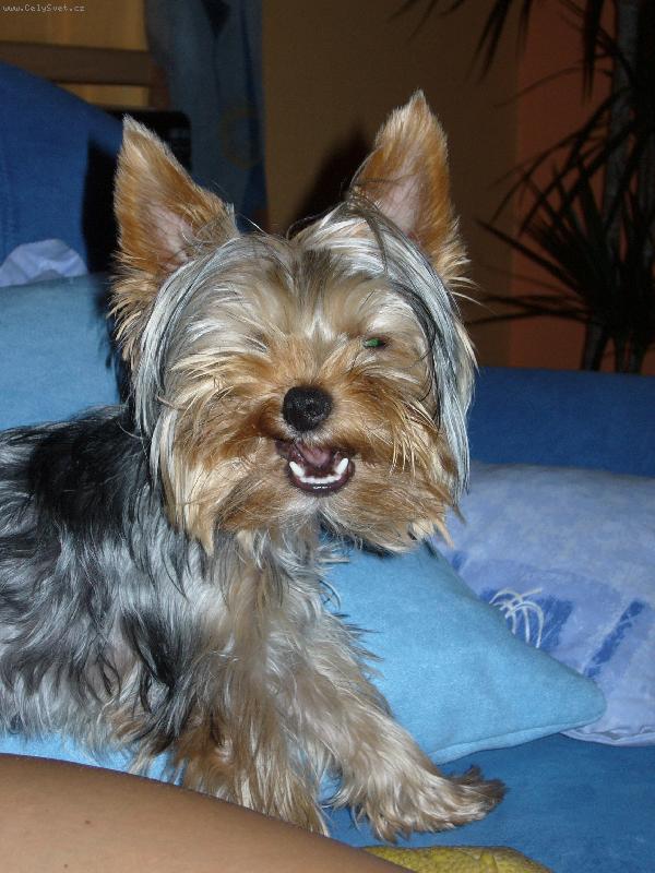 Foto: MIA z Děčína