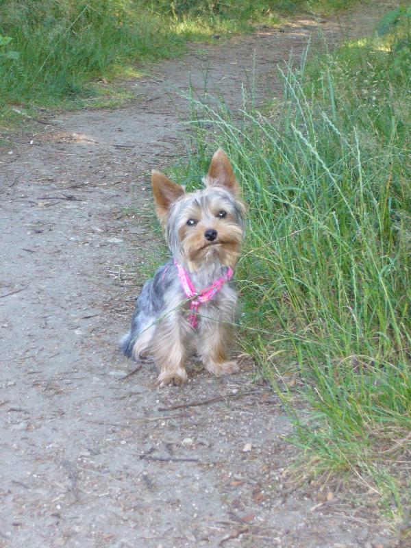 Foto: MIA z Děčína