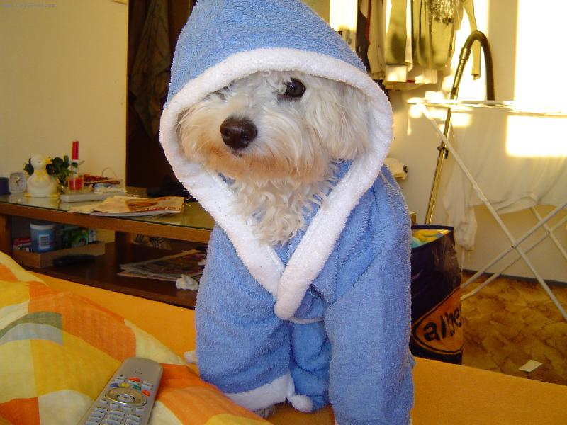 Foto: MAIKKI-Muj novy zupanek :)