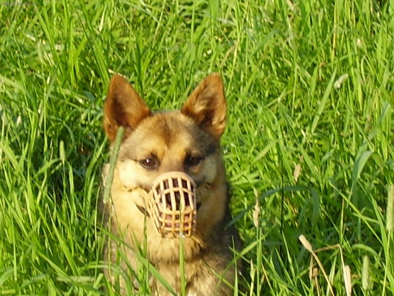 Foto: niki-snad mě nenajde