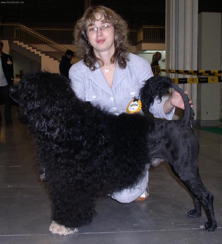 Foto: Albus Brumbál-World dog show-excellent