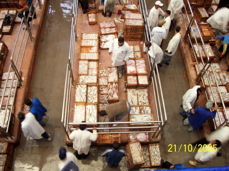 Foto: Rybí trh-přístav v Agadiru