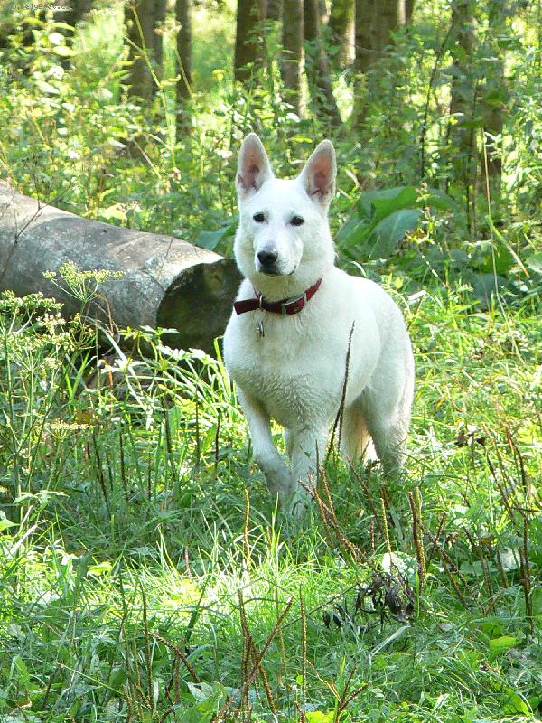Foto: Arlin Belisima Cembra-Prázdninová pohoda