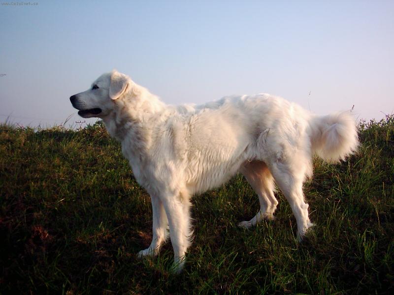 Foto: Brita-17 měsíců