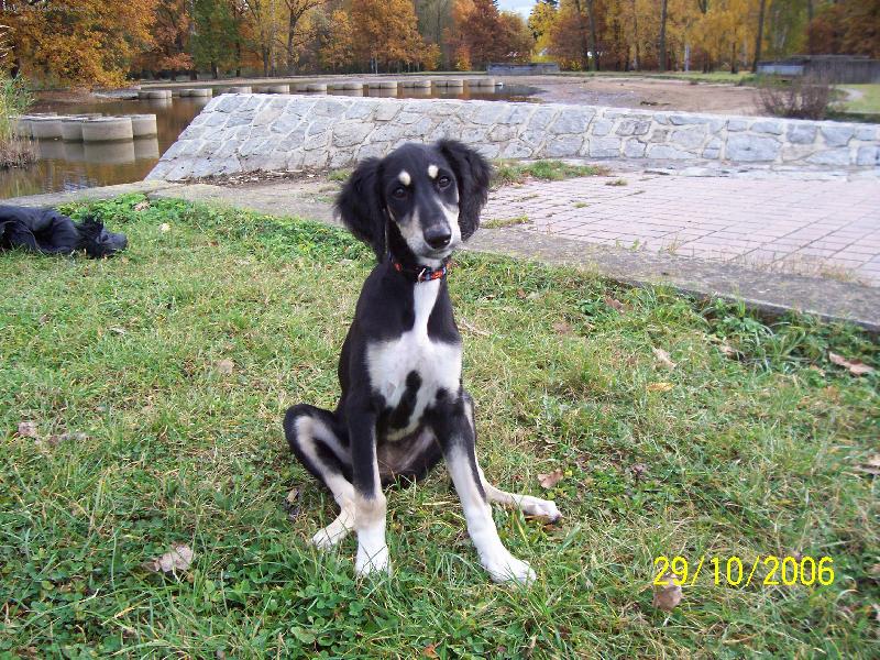 Foto: Mirája z Farzistanu