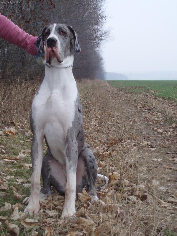 Foto: Bosanka-Sluší mi to????:-)