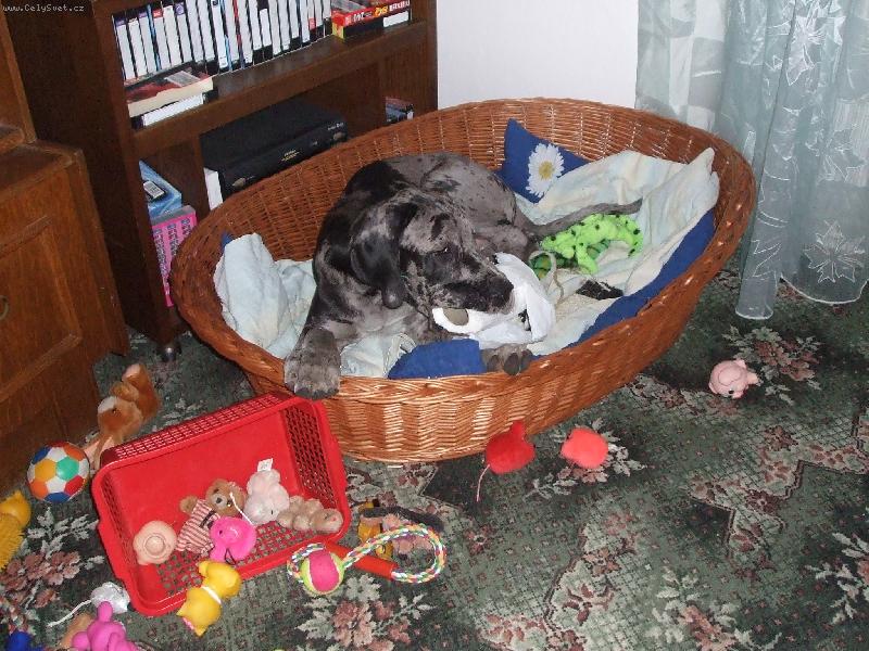 Foto: U nás v mateřské ...