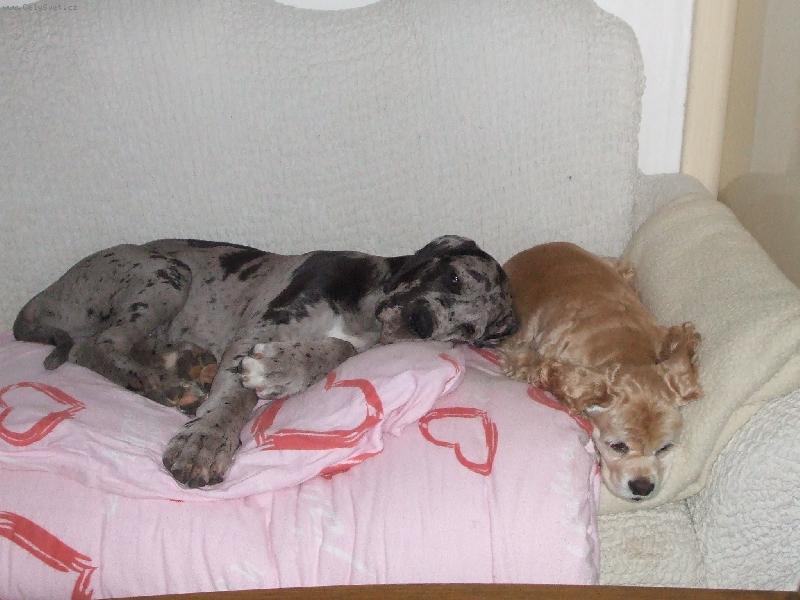 Foto: Tylísek s Ášou