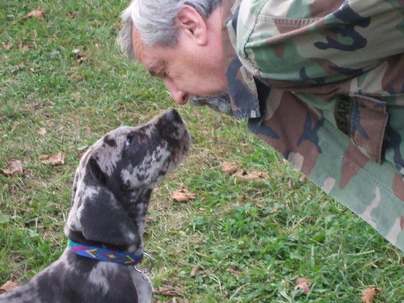 Foto: \"Šedí tygři\"