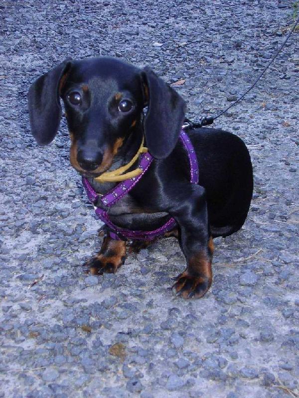 Foto: Model-Monty 7 měsíců