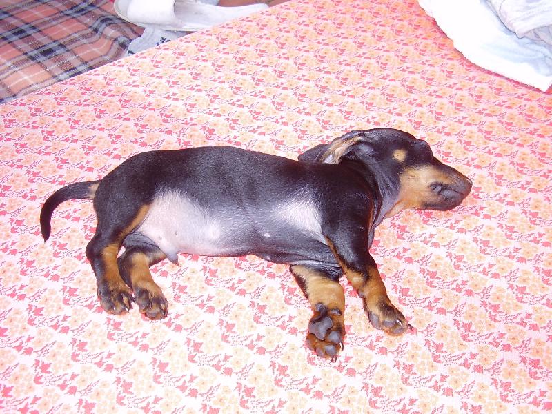 Foto: Spinkám-Monty 3 měsíce