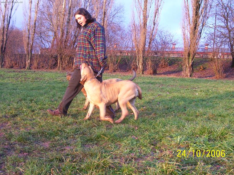 Foto: Alicia-jo, výcvik je výcvik