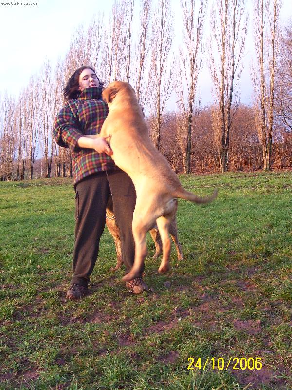 Foto: Alicia-je libo taneček?